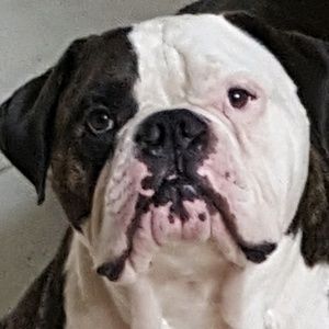 Meet your Posher, Helen